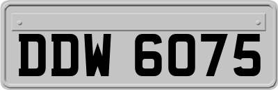 DDW6075