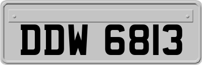 DDW6813