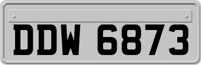 DDW6873