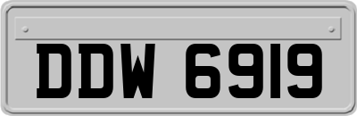 DDW6919