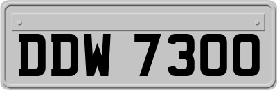 DDW7300