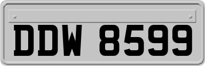DDW8599