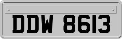 DDW8613