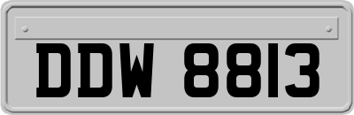 DDW8813
