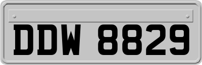 DDW8829
