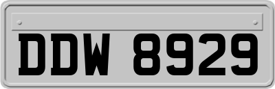 DDW8929