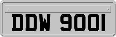 DDW9001