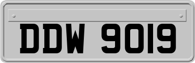 DDW9019