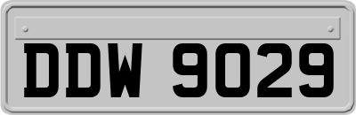 DDW9029