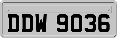 DDW9036