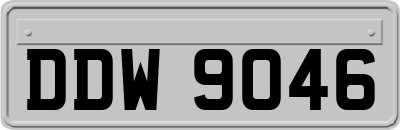 DDW9046