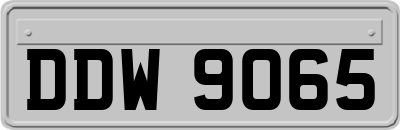 DDW9065