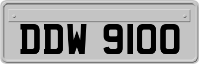 DDW9100