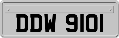 DDW9101