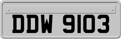 DDW9103