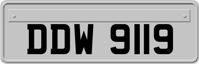 DDW9119