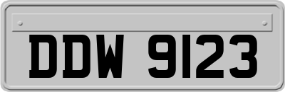 DDW9123