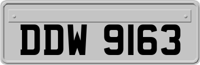 DDW9163