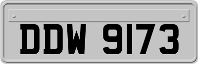 DDW9173