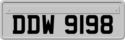 DDW9198
