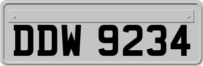 DDW9234