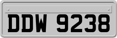 DDW9238