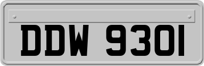 DDW9301