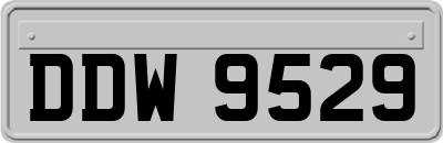 DDW9529