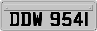 DDW9541