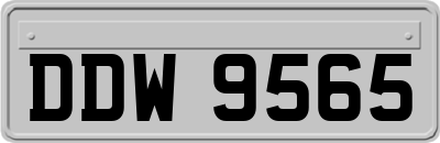 DDW9565
