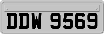 DDW9569