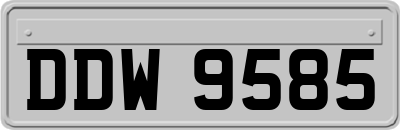 DDW9585