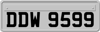 DDW9599