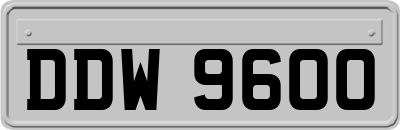 DDW9600