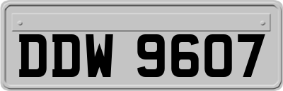 DDW9607