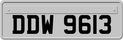 DDW9613