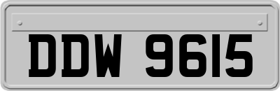 DDW9615