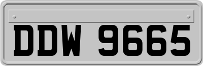 DDW9665