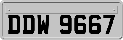 DDW9667