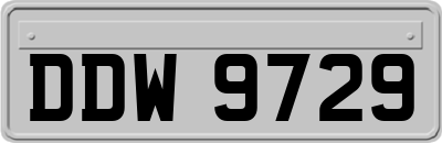 DDW9729