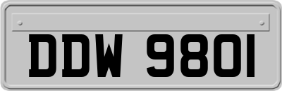 DDW9801