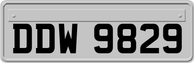 DDW9829