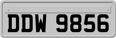 DDW9856