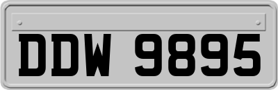 DDW9895