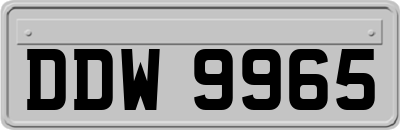 DDW9965