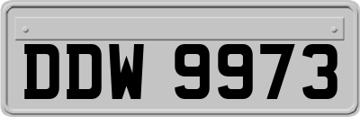 DDW9973