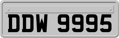 DDW9995