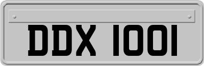 DDX1001