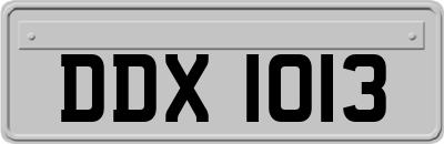DDX1013