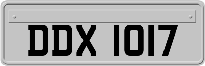 DDX1017
